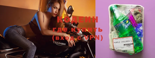 дурь Покачи
