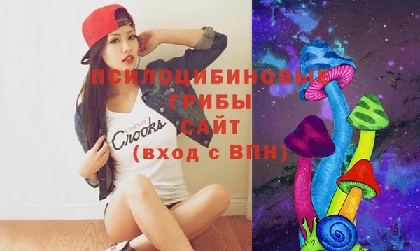 молекула духа Покров