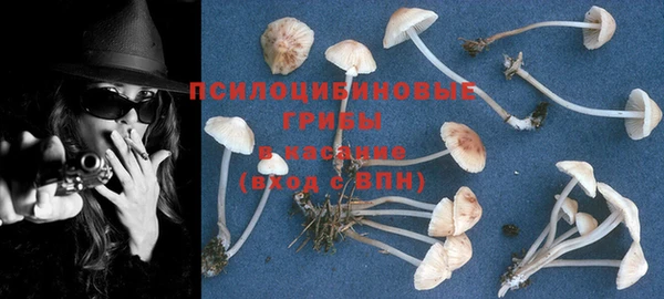 бошки Армянск