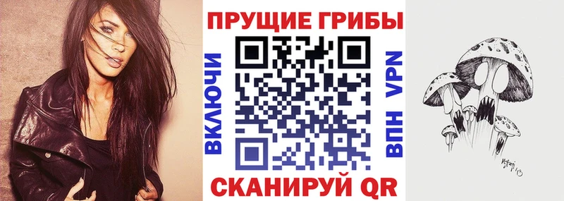 наркошоп  Ртищево  Псилоцибиновые грибы ЛСД 